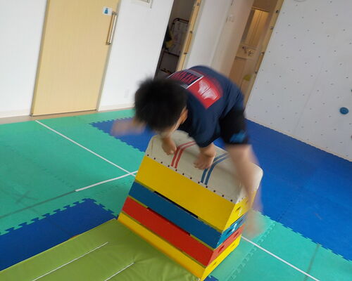 DSCN8453 (002)